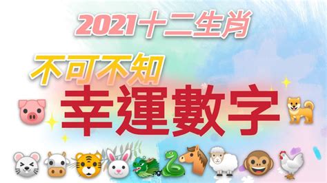 1971豬幸運色2023|十二生肖「幸運數字、幸運顏色、大吉方位」！跟著做。